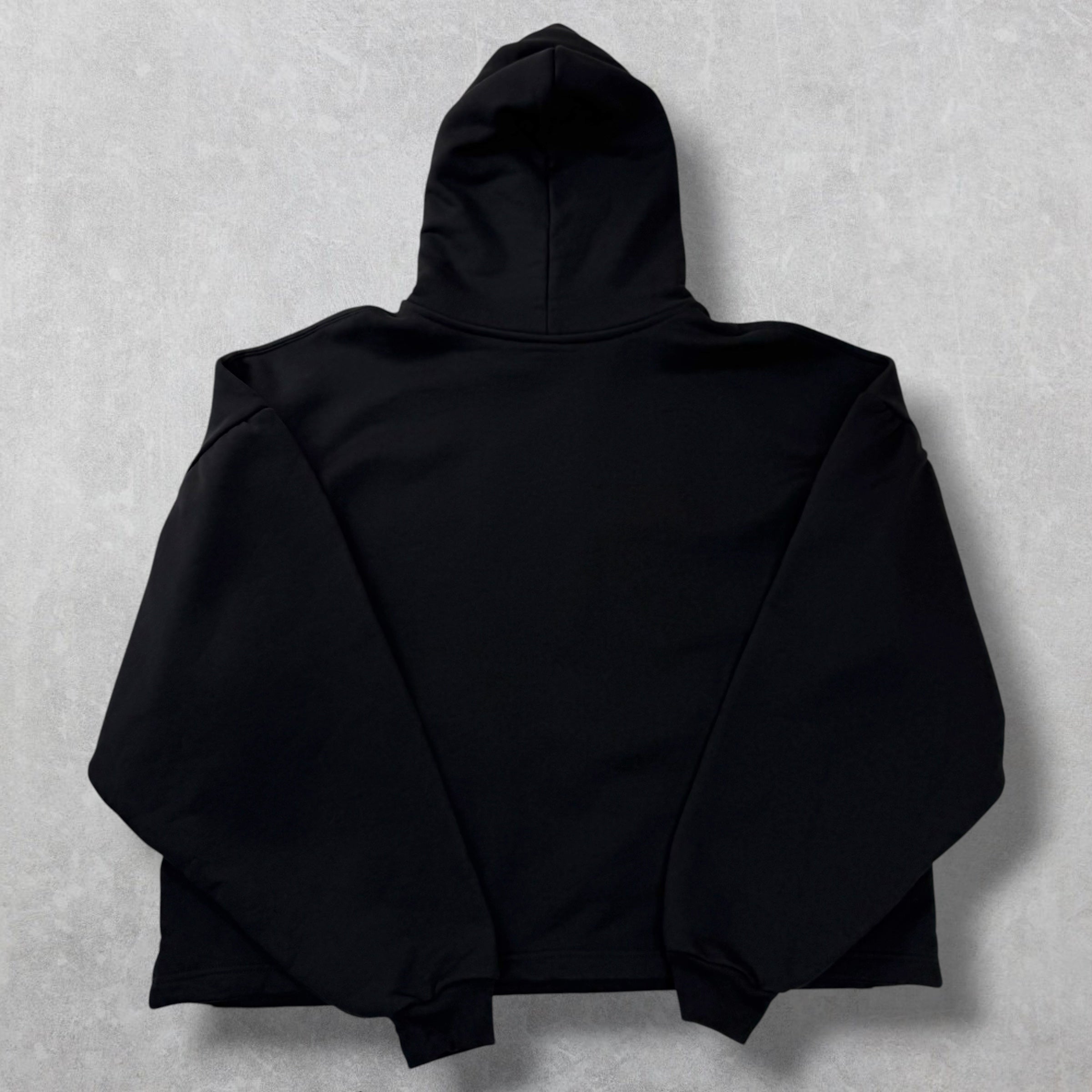 Balenciaga Paris Strass Cropped Hoodie 1 (L) Women